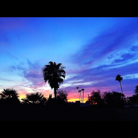 Meet your Posher, Debbie - Picture 5 of 8